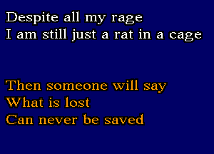 Despite all my rage
I am still just a rat in a cage

Then someone will say
What is lost
Can never be saved