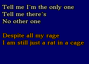 Tell me I'm the only one
Tell me therds
No other one

Despite all my rage
I am still just a rat in a cage