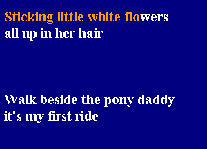 Sticking little white flowers
all up in her hair

Walk beside the pony daddy
it's my first ride