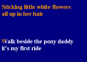 Sticking little white flowers
all up in her hair

Walk beside the pony daddy
it's my first ride