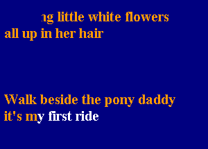 1g little white flowers
all up in her hair

Walk beside the pony daddy
it's my first ride