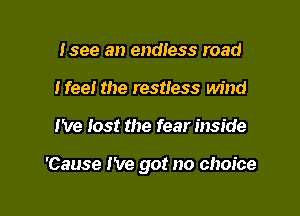 Isee an endiess road
Heel the restless wind

I've lost the fear inside

'Cause I've got no choice