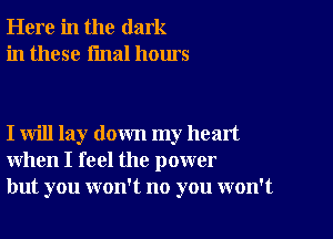 Here in the dark
in these final hours

I will lay down my head
when I feel the power
but you won't no you won't