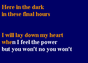 Here in the dark
in these final hours

I will lay down my head
when I feel the power
but you won't no you won't