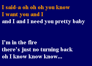 I said-a oh oh oh you know
I want you and I
and I and I need you pretty baby

I'm in the fire
there's just no turning back
011 I know know know...