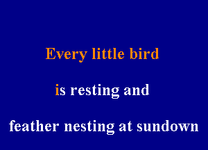 Every little bird

is resting and

feather nesting at sundown