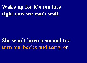 Wake up for it's too late
right now we can't wait

She won't have a second try
turn our backs and carry on