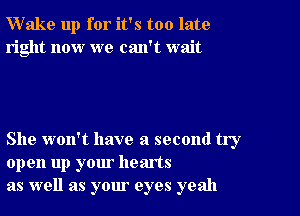 Wake up for it's too late
right now we can't wait

She won't have a second try
open up your hearts
as well as your eyes yeah