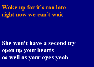 Wake up for it's too late
right now we can't wait

She won't have a second try
open up your hearts
as well as your eyes yeah