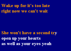 Wake up for it's too late
right now we can't wait

She won't have a second try
open up your hearts
as well as your eyes yeah