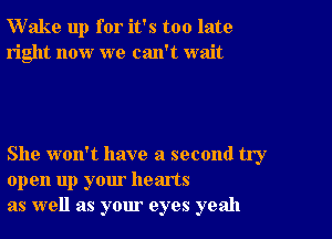 Wake up for it's too late
right now we can't wait

She won't have a second try
open up your hearts
as well as your eyes yeah