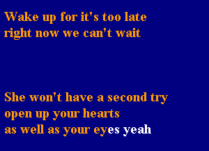 Wake up for it's too late
right now we can't wait

She won't have a second try
open up your hearts
as well as your eyes yeah