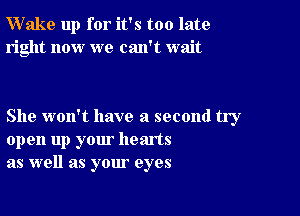 Wake up for it's too late
right now we can't wait

She woxft have a second try
open up your hearts
as well as your eyes