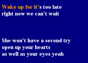 Wake up for it's too late
right now we can't wait

She won't have a second try
open up your hearts
as well as your eyes yeah