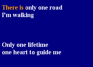 There is only one road
I'm walking

Only one lifetime
one heart to guide me