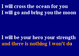 I will cross the ocean for you
I will go and bring you the moon

I will be your hero your strength
and there is nothing I won't do