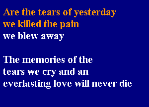 Are the tears of yesterday
we killed the pain
we blew away

The memories of the
tears we cry and an
everlasting love will never die