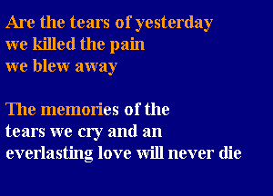 Are the tears of yesterday
we killed the pain
we blew away

The memories of the
tears we cry and an
everlasting love will never die