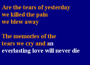 Are the tears of yesterday
we killed the pain
we blew away

The memories of the
tears we cry and an
everlasting love will never die