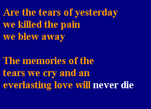 Are the tears of yesterday
we killed the pain
we blew away

The memories of the
tears we cry and an
everlasting love will never die