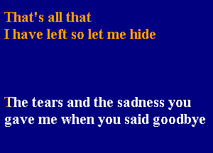 That's all that
I have left so let me hide

The tears and the sadness you
gave me When you said goodbye