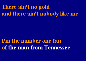 There ain't no gold
and there ain't nobody like me

I'm the number one fan
of the man from Tennessee