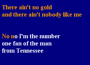 There ain't no gold
and there ain't nobody like me

No no I'm the number
one fan of the man
from Tennessee