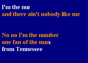 I'm the nut
and there ain't nobody like me

No no I'm the number
one fan of the man
from Tennessee