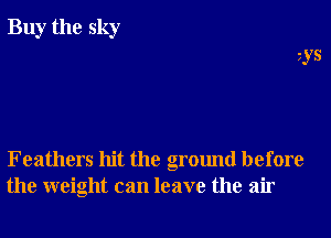 Buy the sky

15

Feathers hit the ground before

the weight can leave the air