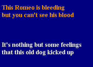 This Romeo is bleeding
but you can't see his blood

It's nothing but some feelings
that this old dog kicked up