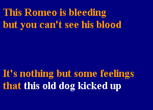 This Romeo is bleeding
but you can't see his blood

It's nothing but some feelings
that this old dog kicked up