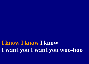 I know I know I know
I want you I want you woo-hoo