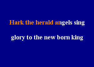 Hark the herald angels sing

glory to the neur born king