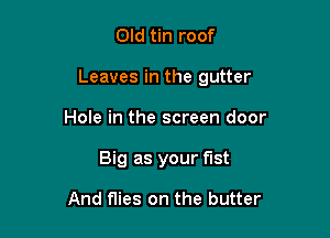 Old tin roof

Leaves in the gutter

Hole in the screen door
Big as your fist

And flies on the butter