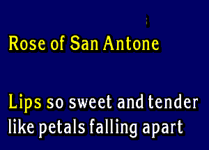 Rose of San Antone

Lips so sweet and tender
like petals falling apart