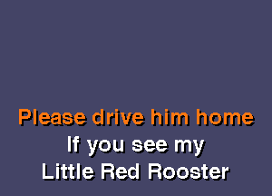 Please drive him home
If you see my
Little Red Rooster