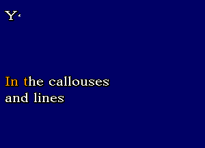 In the callouses
and lines