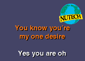 You know you,re

my one desire

Yes you are oh