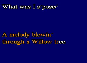 TWhat was I s'poser'

A melody blowin'
through a Willow tree