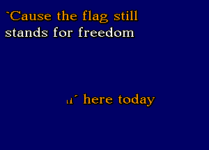 CauSe the flag still
stands for freedom

.f here today