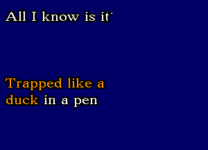 All I know is it'

Trapped like a
duck in a pen