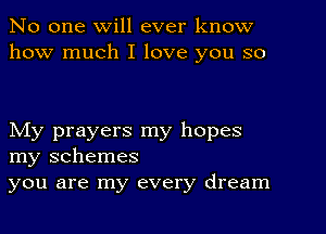 No one will ever know
how much I love you so

My prayers my hopes
my schemes
you are my every dream