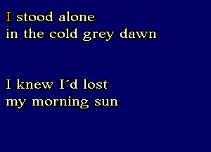 I stood alone
in the cold grey dawn

I knew I'd lost
my morning sun