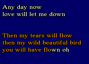 Any day now
love will let me down

Then my tears will flow
then my wild beautiful bird
you will have flown oh