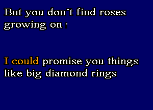 But you don't find roses
growing on -

I could promise you things
like big diamond rings