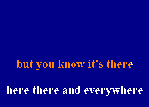 but you know it's there

here there and everywhere