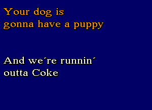 Your dog is
gonna have a puppy

And we're runnin'
outta Coke