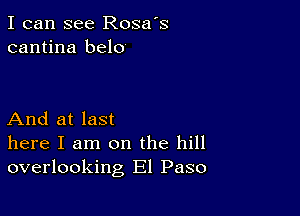 I can see Rosa's
cantina belo

And at last
here I am on the hill
overlooking El Paso