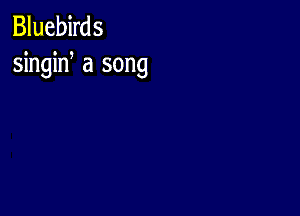 Bluebirds
singid a song