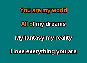 You are my world
All of my dreams

My fantasy my reality

I love everything you are
